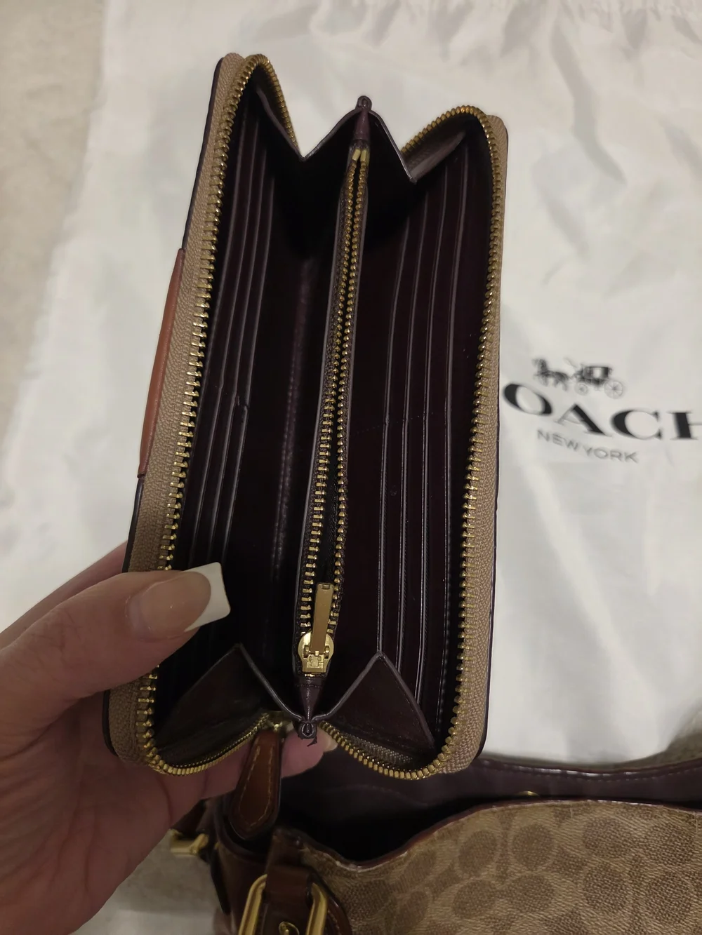 Coach accordion zip